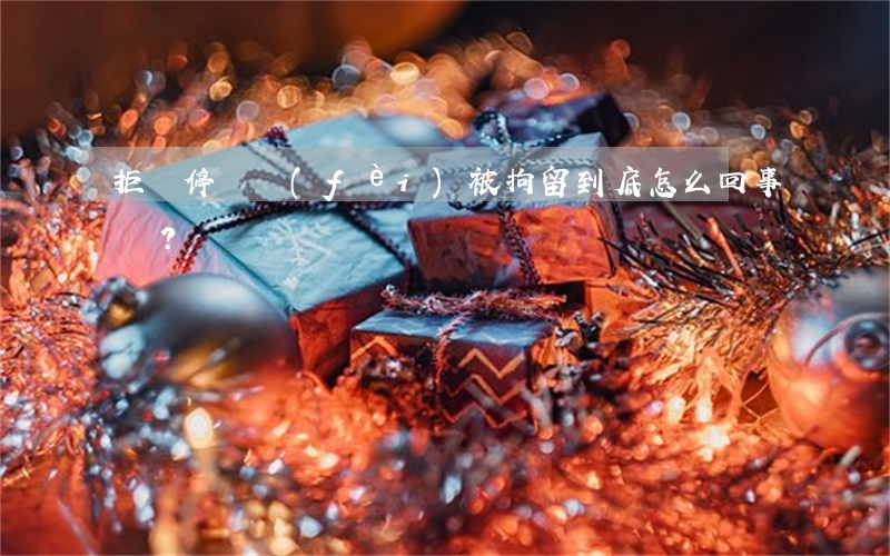 拒繳停車費(fèi)被拘留，到底怎么回事？